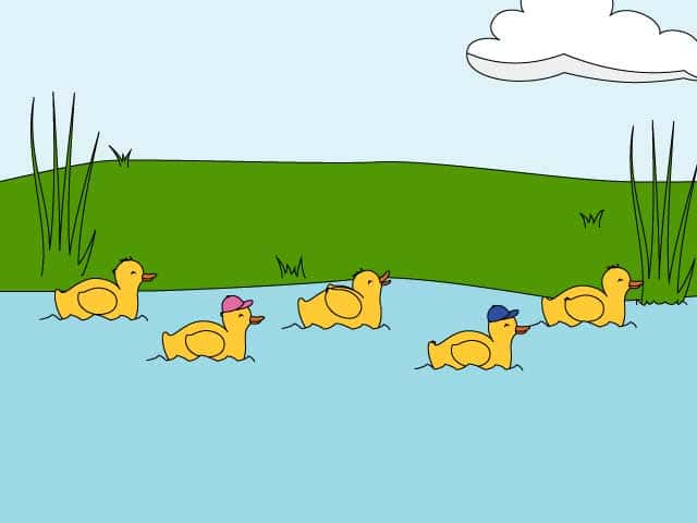 5 little ducks swimming in a pond. One duckling is wearing a blue cap and one duckling is wearing a pink cap. The middle duckling says quack quack quack.